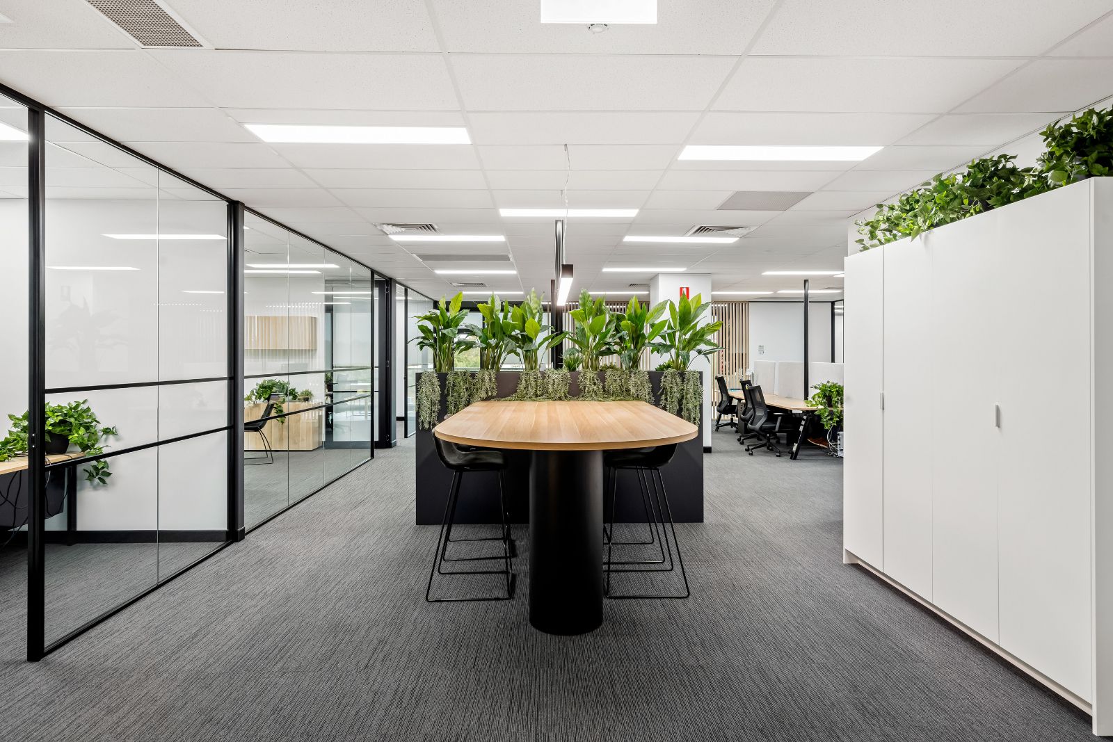Cloud Carrier Office